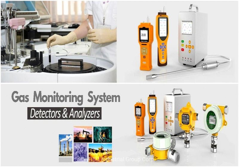 Portable pH3 Gas Leakage Alarm Methanol Gas Test Analyzer