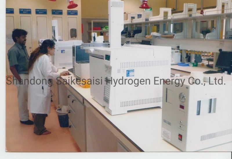 Ql-300 Pem Hydrogen Generator for Fid in Lab