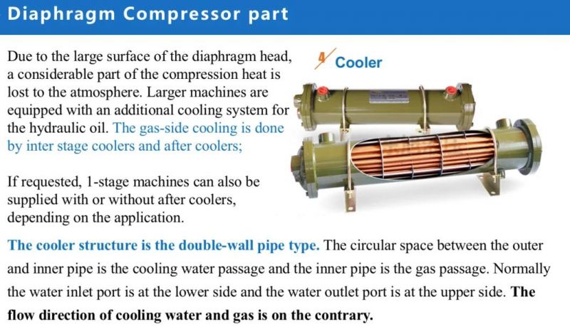 100MPa 20 MPa Poisonous Nitrogen Dioxide No2 Chlorine Gas Industrial Gas Diaphragm Compressor