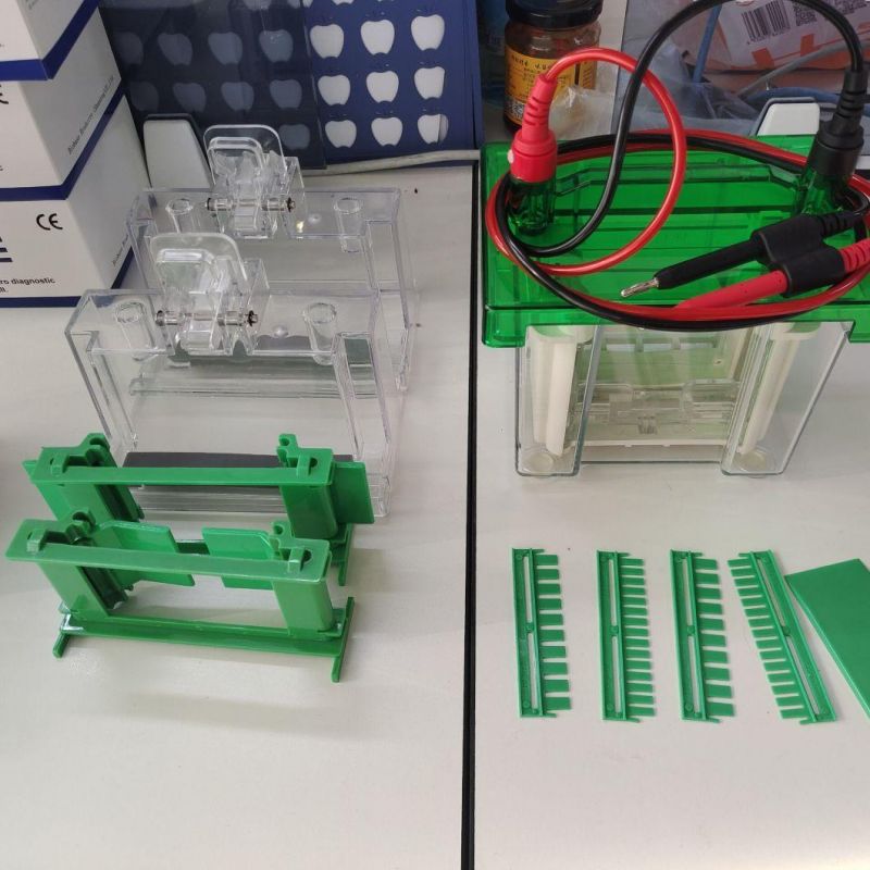 Biobase Vertical Electrophoresis Tank for Separation Purification DNA Rna and Protein
