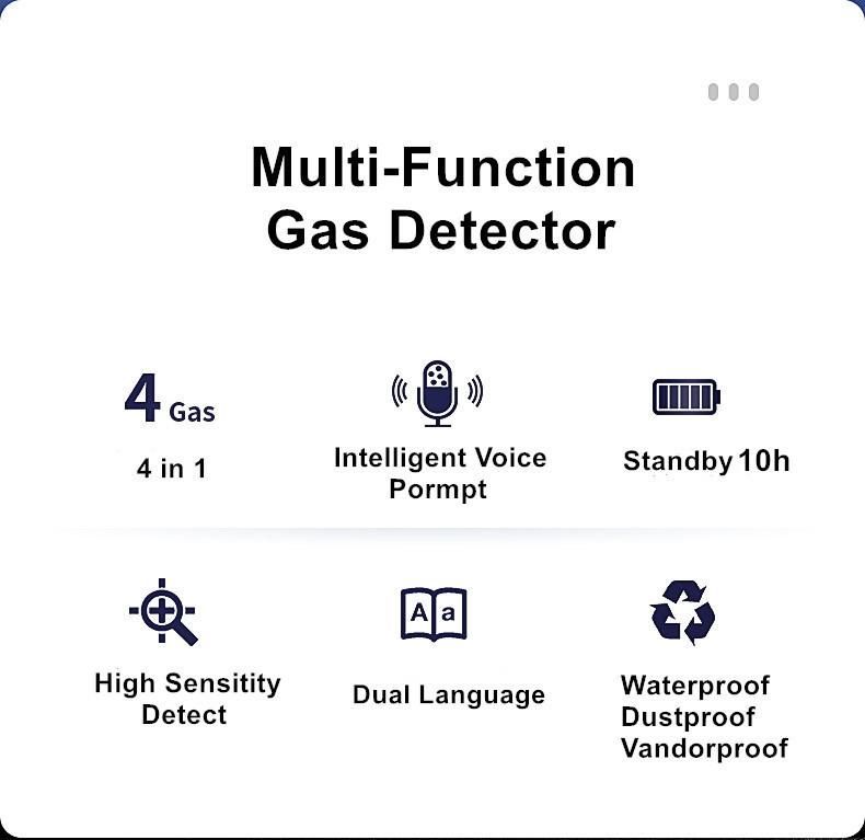 Portable Combustible Natural Gas LPG Leak Detector