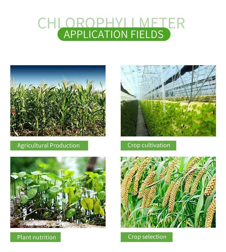 Chlorophyll Measuring Instrument Chlorophyll Meter