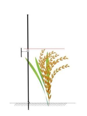 Digital Crop Height Measuring Meter