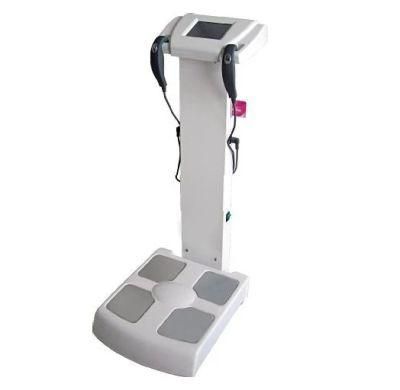 Wholesprice! Professional Body Fat Analyzer 2020/ Body Composition Analyzer/Inbody