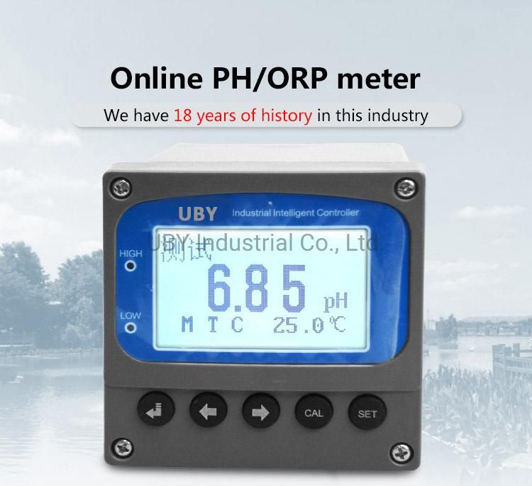 PC9965+D300 Factory Online Intelligent pH/ORP Transmitter IP65 pH Sensor 0~14pH