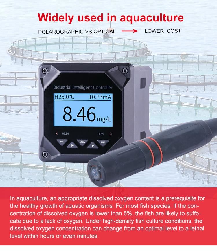 Dissolved Oxygen Transmitter Measure Dissolved Oxygen Water