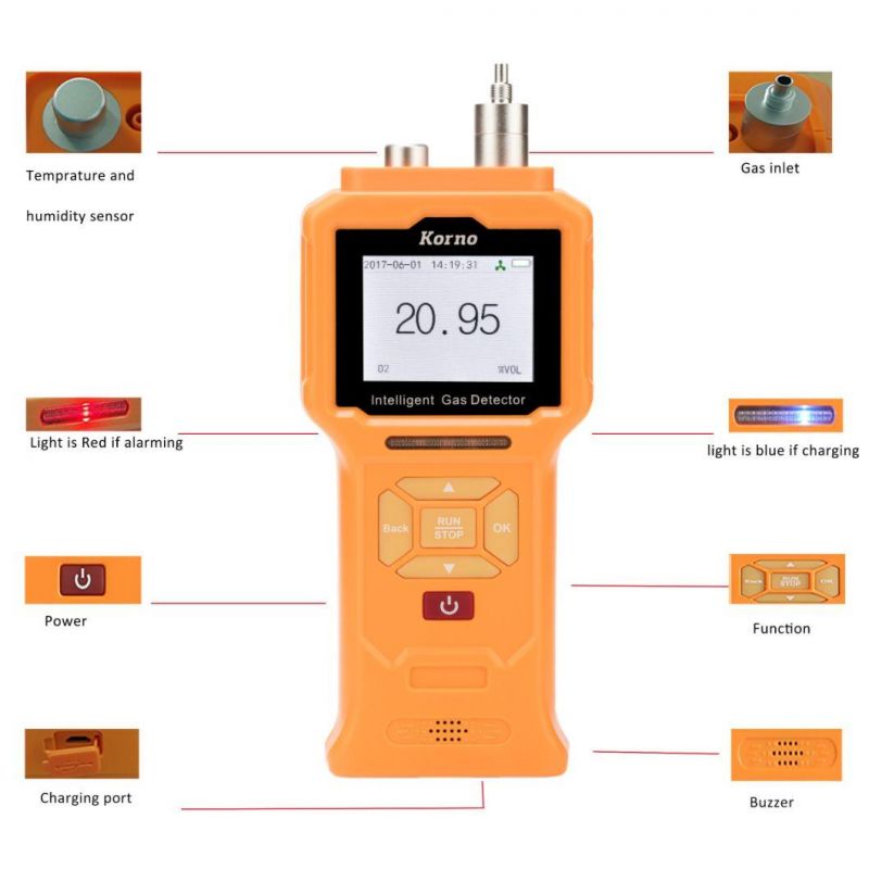 CE Certificate IP66 Portable Oxygen Gas Analyzer Oxygen Gas Detector O2 Analyzer with Pump