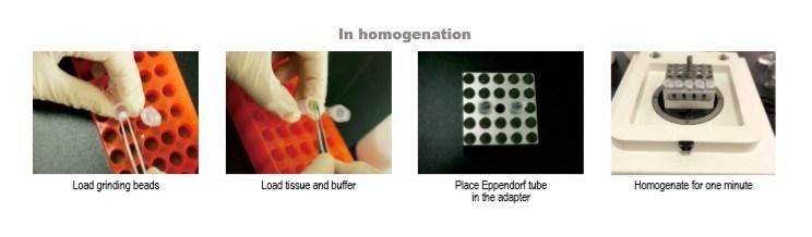 Tissue Homogenizer for Break Cells Bacteria and Plant Tissues Easy Operation