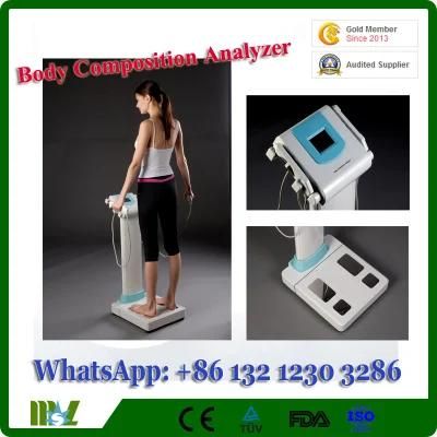 Gym, Hospital, Private Use Advanced Professional Body Composition Analyzer - Mslca02