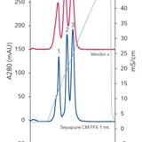 Sepapure Deae FF6 5 Ml, Weak Anion Exchange Fplc Column