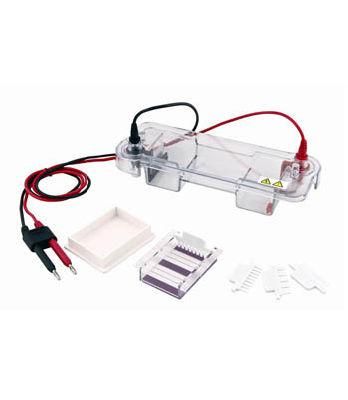 China Biobase Vertical Type Electrophoresis Equipment Electrophoresis