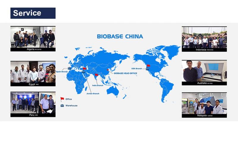 Biobase Vertical Electrophoresis Tank for Separation Purification DNA Rna and Protein