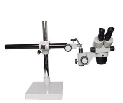 Price of Digital Microscope Binocular