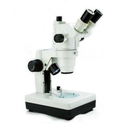 Price of Digital Setting Microscope
