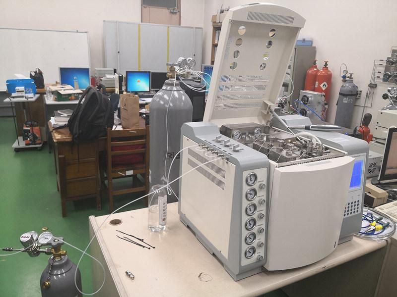 China Laboratory Portbale Gas Chromatograph with Flame Ionization Detector Fid