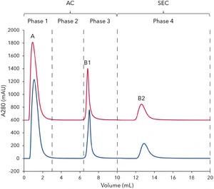 Sepapure Deae FF6 5 Ml, Weak Anion Exchange Fplc Column