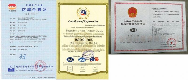Two Gas Detector for Oxygen and Combustible Gas (O2, EX)