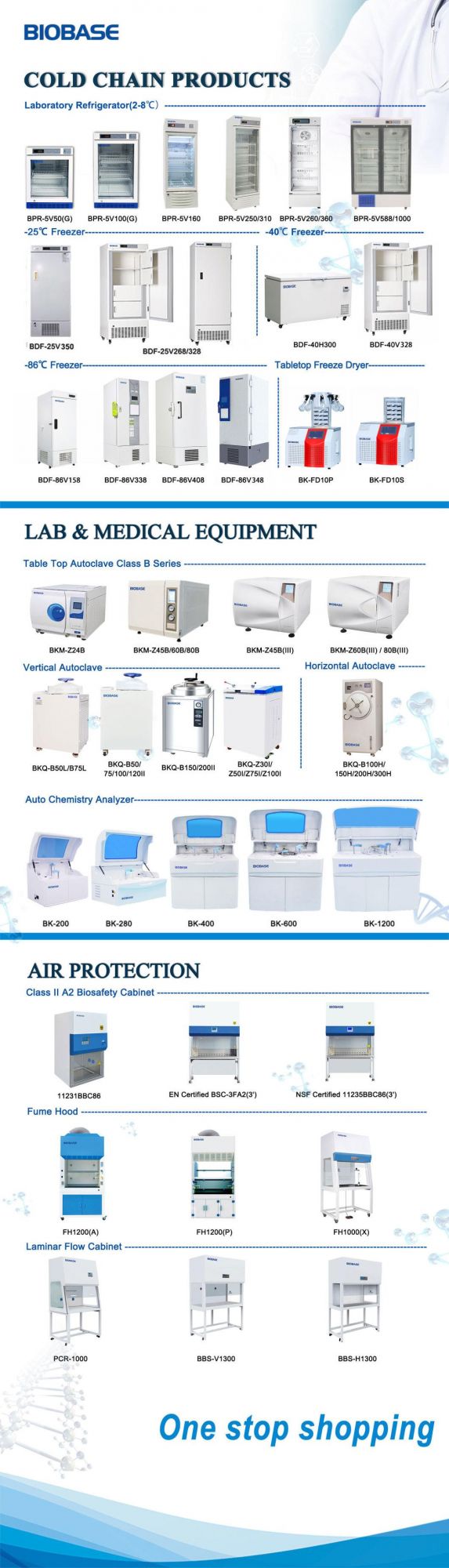 Biobase Vertical Electrophoresis Tank for Separation Purification DNA Rna and Protein