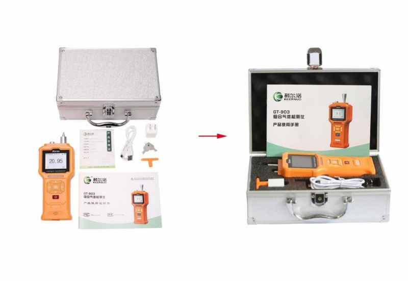 Portable Hydrogen Sulfide Gas Leakage Monitor (H2S)