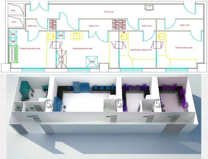 Nanbei PCR Laboratory Virus Testing Lab Design