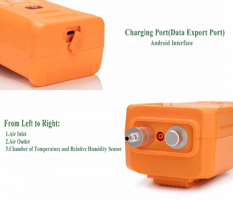 Portable Hydrogen Sulfide Gas Leakage Monitor (H2S)