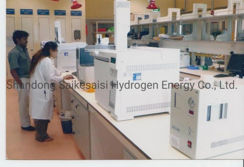 Ql-300 Chinese Best Pem Hydrogen Generator for Gas Chromatography