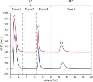 Sepapure Q FF6 5 Ml, Strong Anion Exchange Separation Column