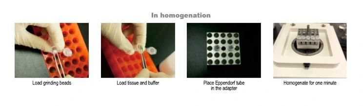 Biology Lab Equipment Tissue Sterile Homogenizer for Animal Plant