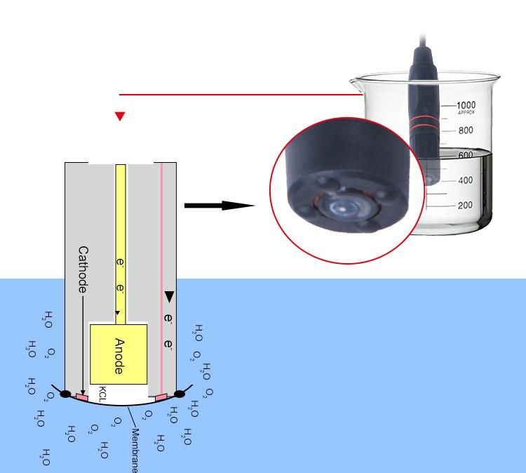 Dissolved Oxygen Tester Water Dissolved Oxygen Meter
