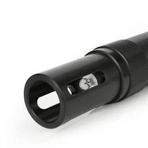 RS485 Output Online Digital pH Sensor