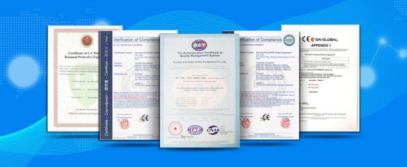 Gas Chromatography Fid Vocs Online Monitoring System