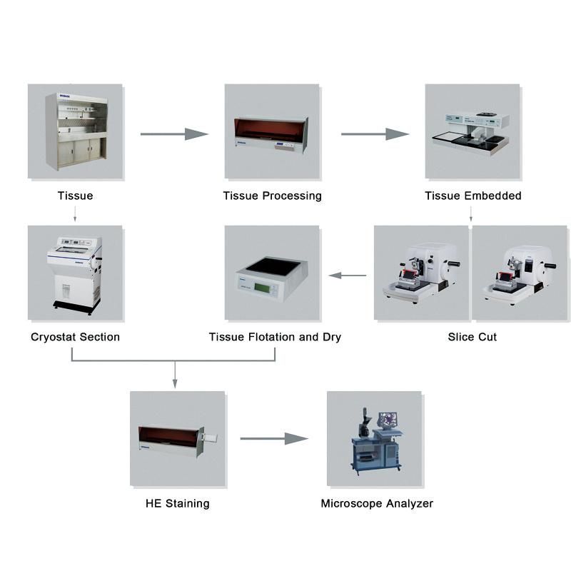 Biobase Pathological Analysis Tissue Embedding Center and Cooling Plate