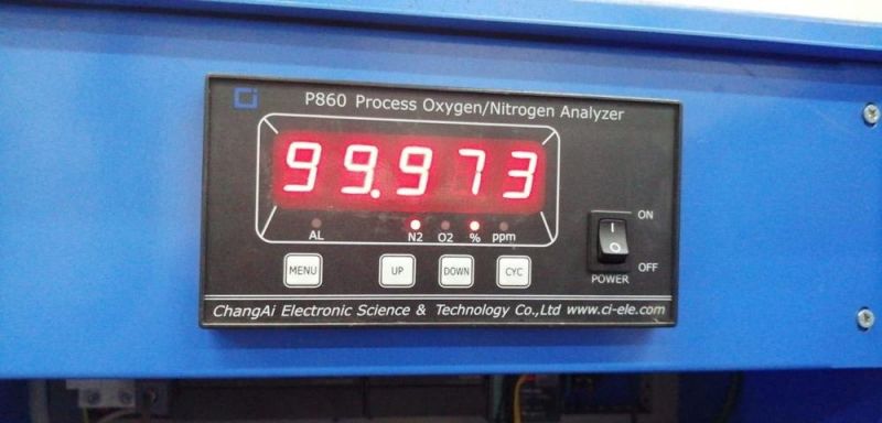 Portable 4oxv Oxygen Purity Online Gas Analyzer (P860)