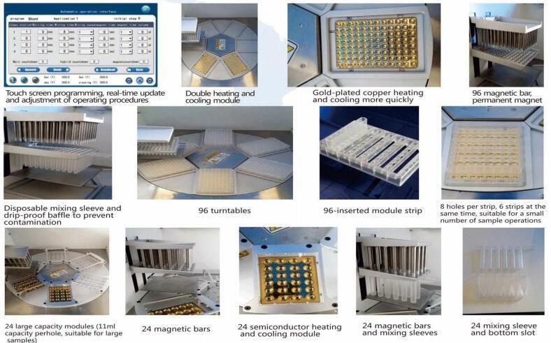 Color LCD Screen Touch Operation Fast Digital Automatic Nucleic Acid Extraction System