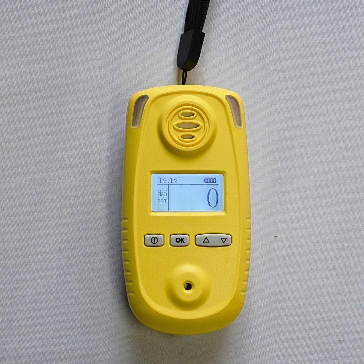 Hydrogen Sulfide Detector Portable H2s Gas Alert with LCD Display