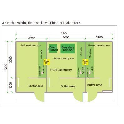 Nanbei PCR Laboratory Virus Testing Lab Design