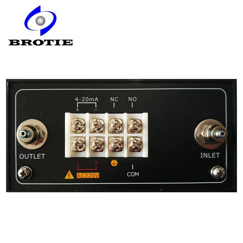 China Online Oxygen/ Nitrogen Gas Analyzer