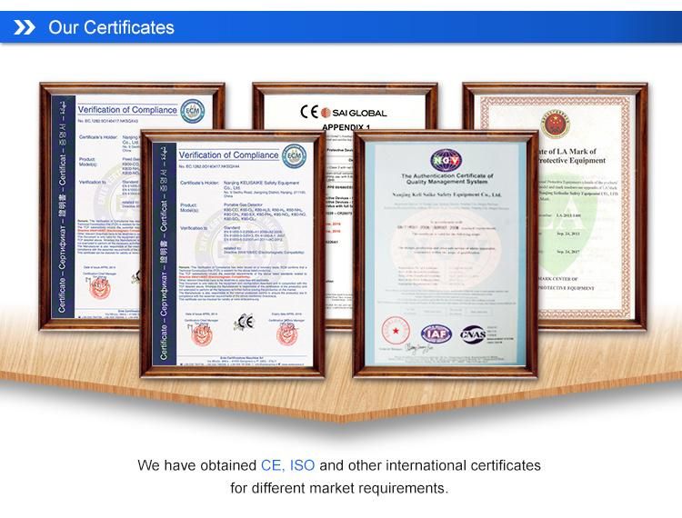 Work Environment Gas Safety Control Fixed Online CH4 Gas Detector