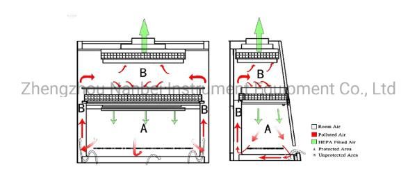 Biological Safety Cabinet for Laboratory Using