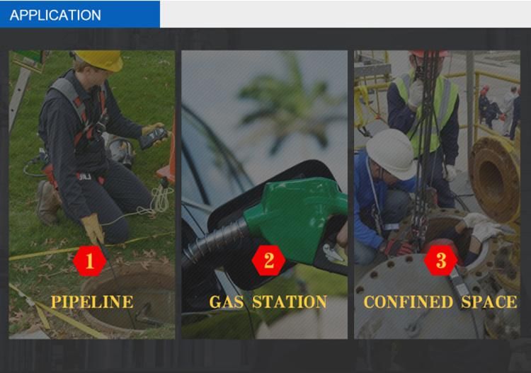 Industry Portable Gas Sampling Pump Digital Charging Smart External Pump Sampler Device Support All Gas