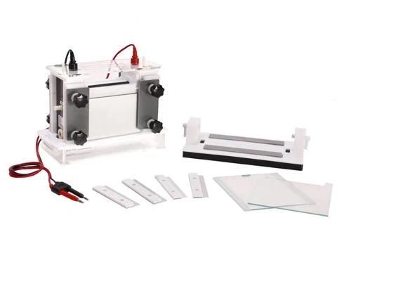 Gel Electrophoresis Apparatus for Protein