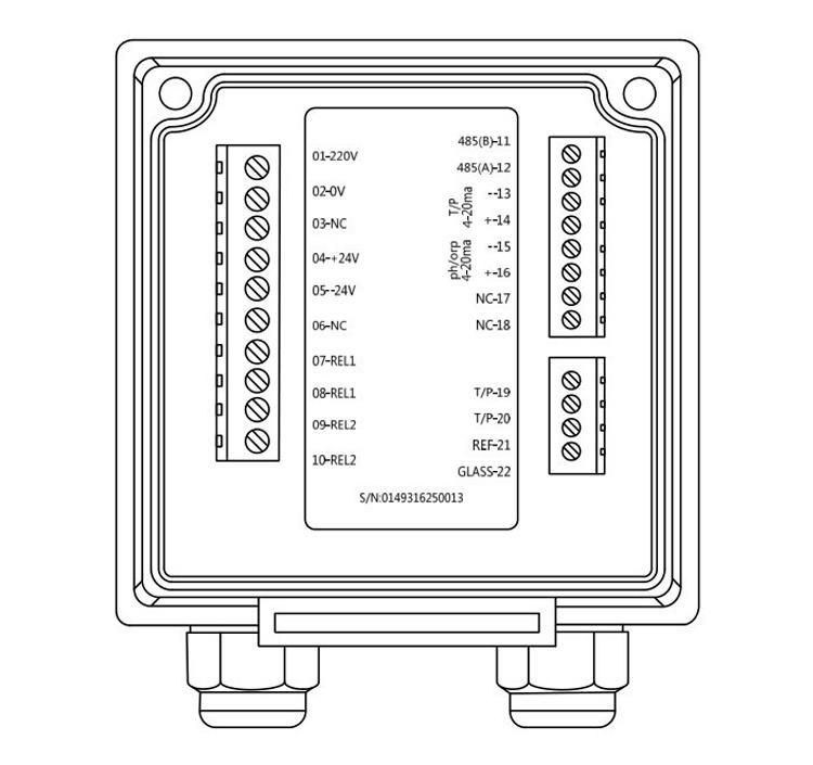 Apure RS485 4-20mA Digital pH Orp Controller