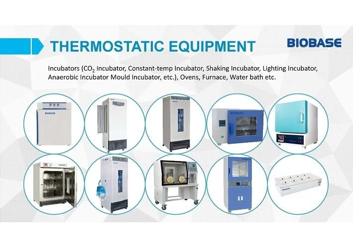 Biobase Fast Gradient Thermal Cycler PCR Price Hot for Sale