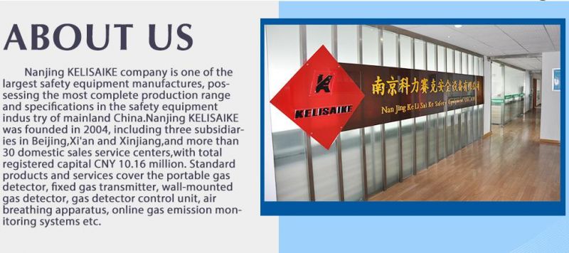 Factory Price Portable Hydrogen Sulfide Gas Leak Detector H2s Gas Analyzer