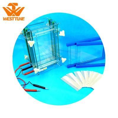 Dycz-28d Polyacrylamide Gel Electrophoresis Cell Tank