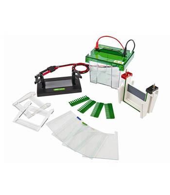 China Biobase Vertical Type Electrophoresis Equipment Electrophoresis