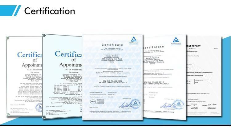 Salimeter Digital Water Quality Test Salimeter 0-50 Ppt Digital Water Quality Testers for Drinking Water Quality Test