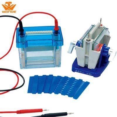 Dycz-24DN Mini Size Double Vertical Protein Gel Electrophoresis Apparatus