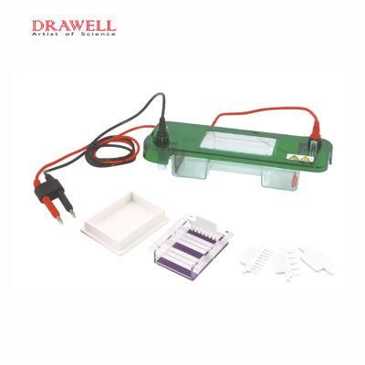 Horizontal Electrophoresis Appuratus Gel Electrophoresis Equipment Ep with Power Supply