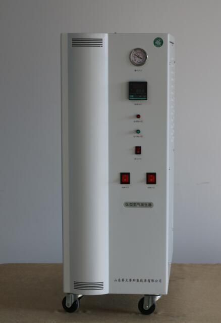 Ql-N300 99.999% Purity Psa Nitrogen Generator for Lab Usage